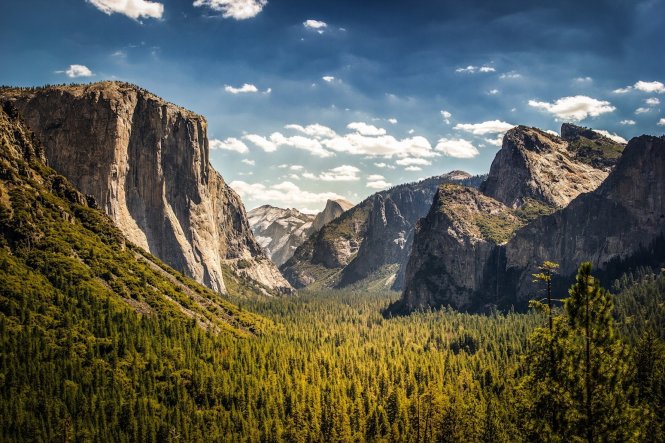 Hùng vĩ cánh rừngYosemite – Ảnh: fotolia